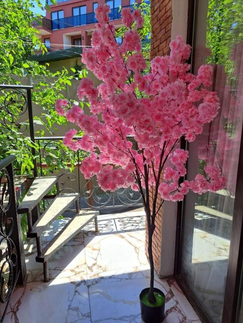 IA House Images_2