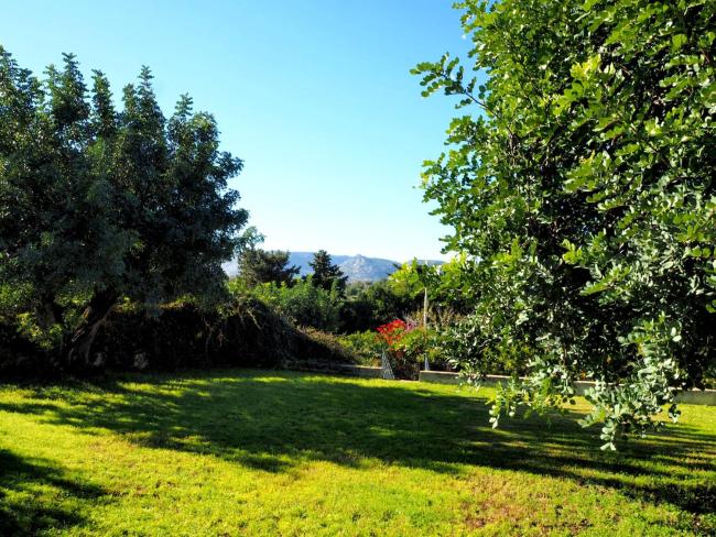 Villa Chicca Images_4