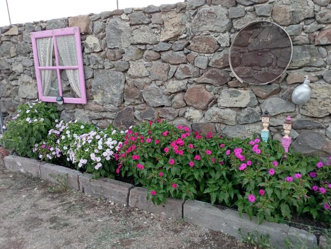 dilemi Images_4