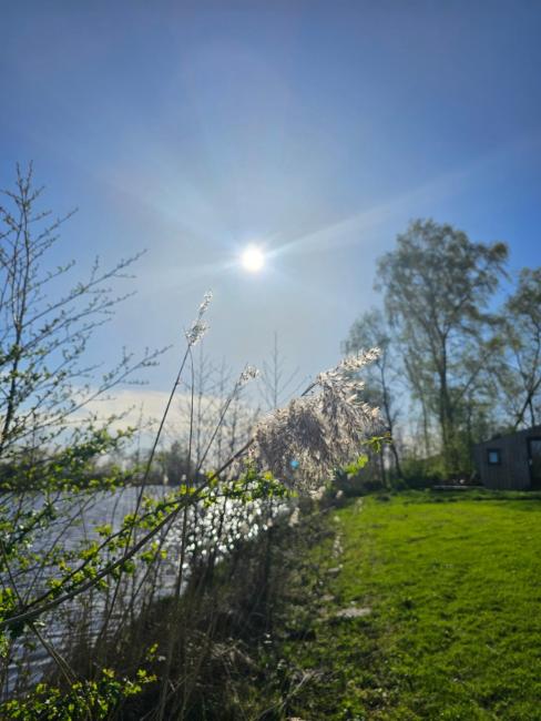 Tiny House De Klyster Images_5