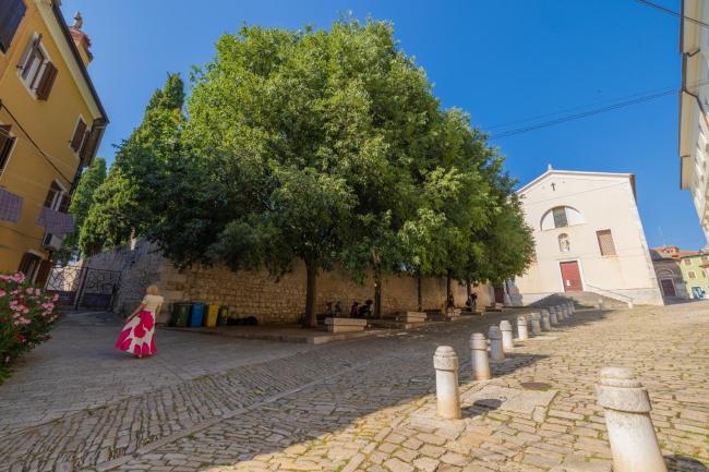 Studio 4two -Old town - groundfloor Images_5