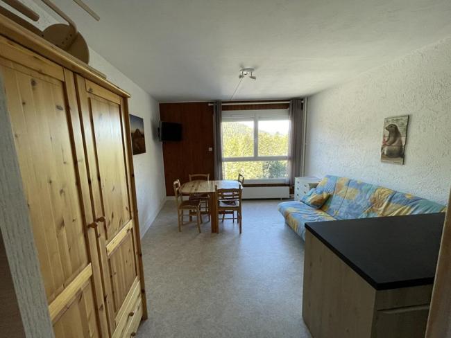 Studio 4 pers, centre station avec WiFi, accès direct pistes et commerces - FR-1-787-66 Images_4