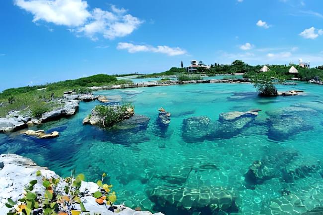 24/7 access to amazing cenote.Pool&Fast fiber net Images_1