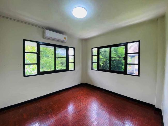 天马行空 Images_4