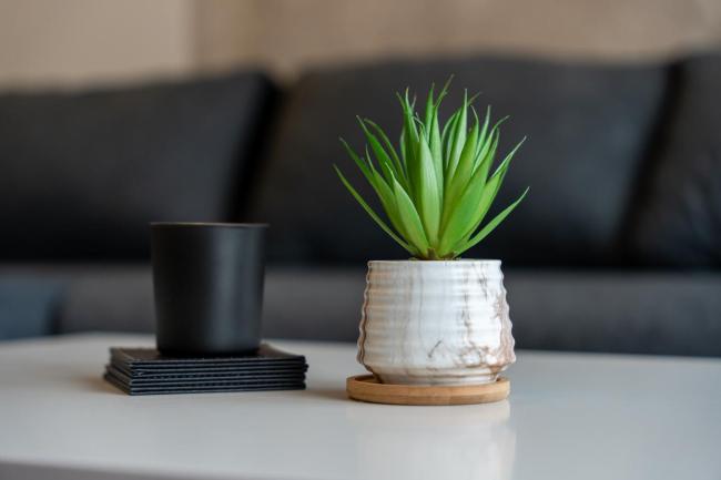 Apartman Dalija Images_2