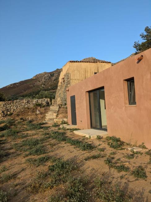 Maison dans une oliveraie Images_1