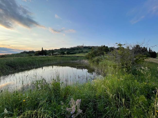 Suite Gioconda a Pienza Images_2