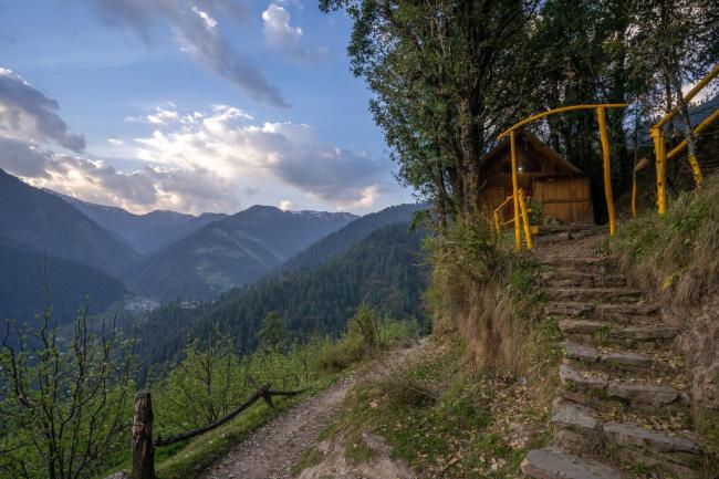 The Rustic Treehouse Images_2