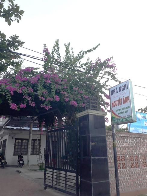 Nguyet Anh Guest House Images_4