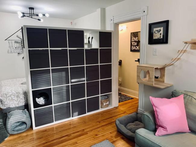 Ultimate Pet-friendly Studio #1, with Patio Images_4