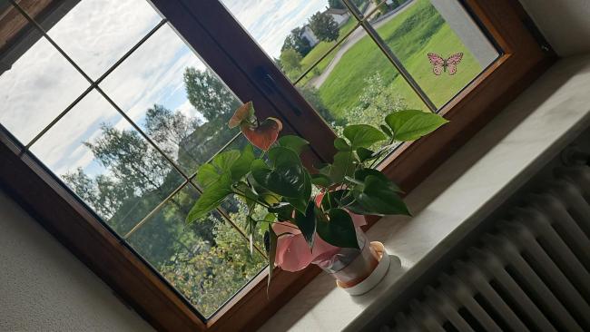 Gasthof zum Hirschen Images_2