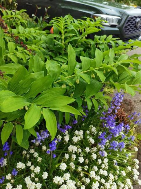 Wakes Up in Sunshine, Steps to Ocean and Mall Images_1