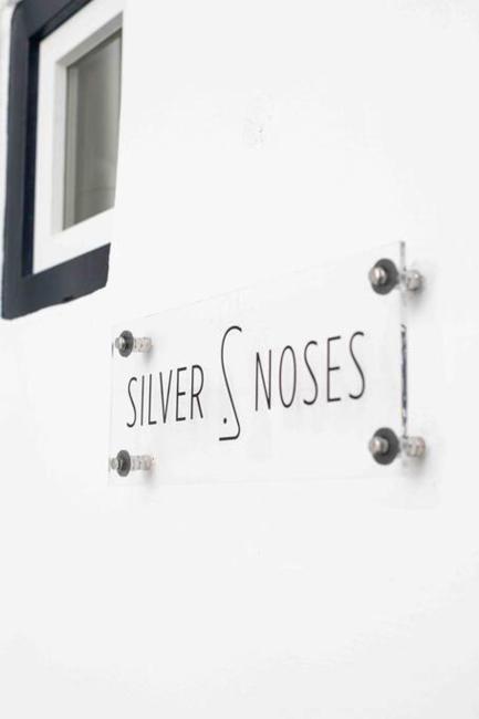 Silvernoses Boho, Mykonostown, Little Venice Images_1