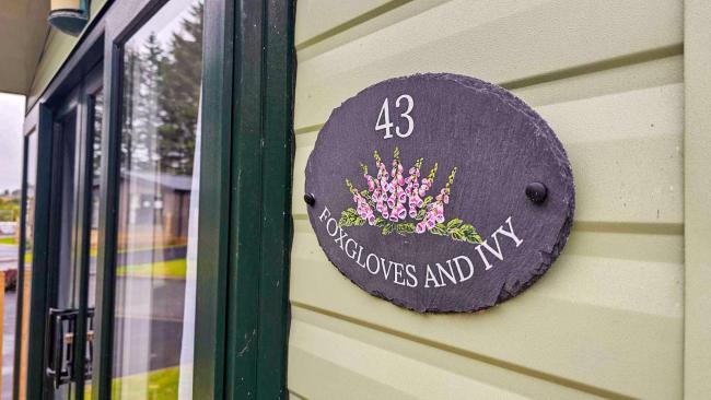 Foxgloves and Ivy Images_2