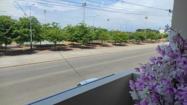 Suite Flores Images_5