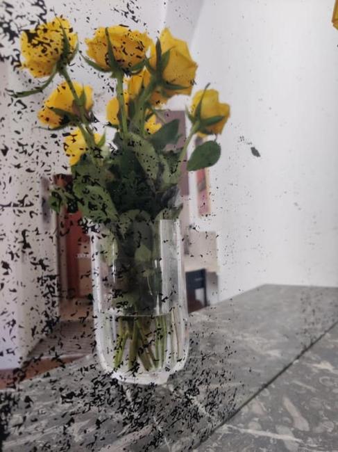 Studio neuf, wifi, rack vélo Images_2